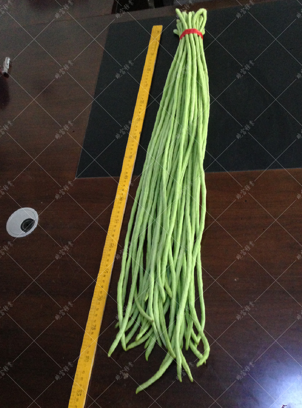 1558057222683319.jpg 51.jpg