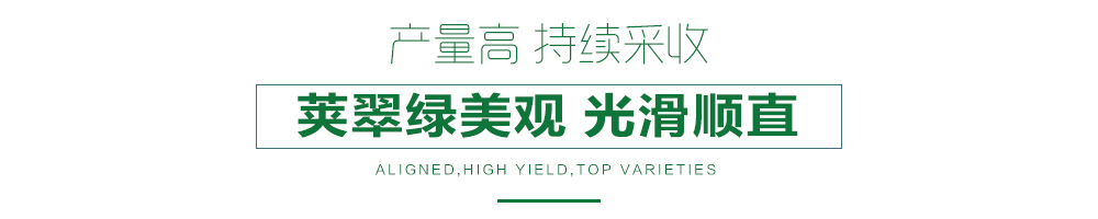 1558057942489552.jpg 詳情頁24.jpg