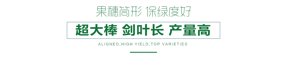 1558080420584264.jpg 詳情頁(yè)12.jpg