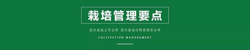 1585993392548250.jpg 09.jpg