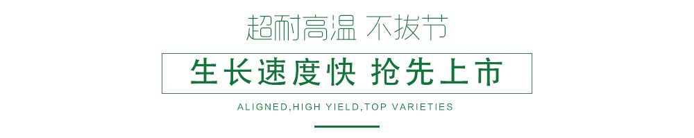 1600247044187822.jpg 03.jpg