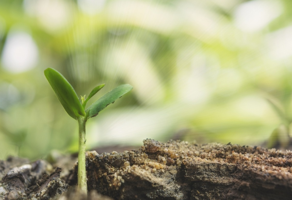 1608458531899548.png image.png